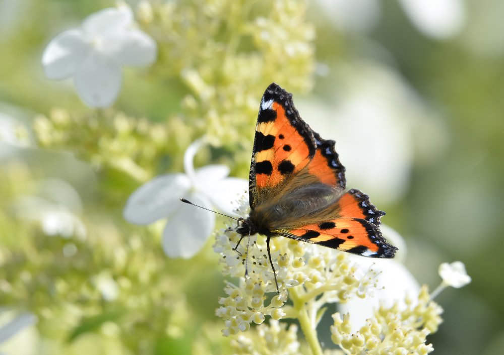 Photograph by Ольга Мендоса