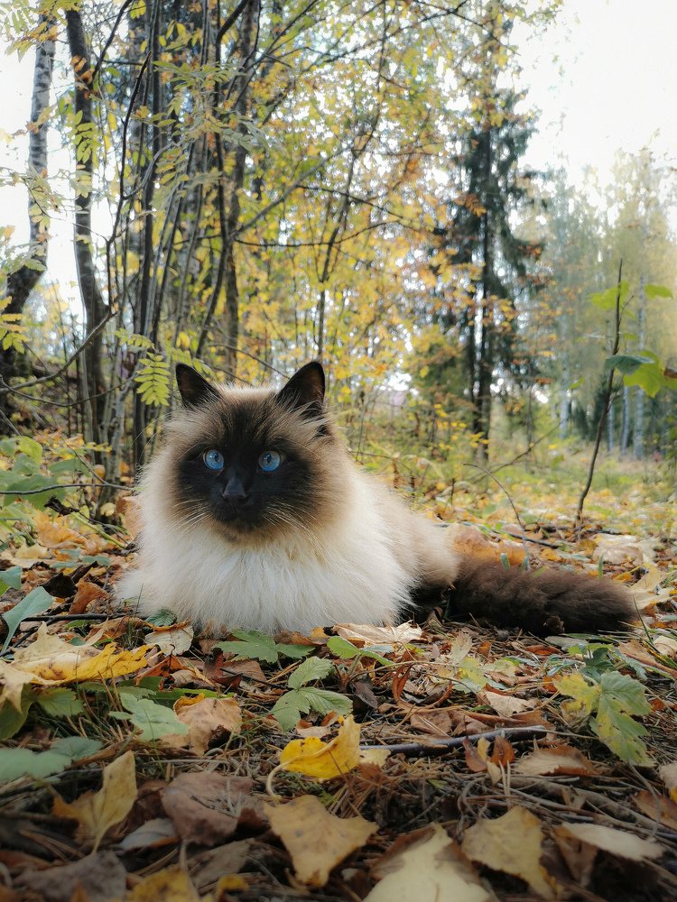 Photograph by Ольга Воронова