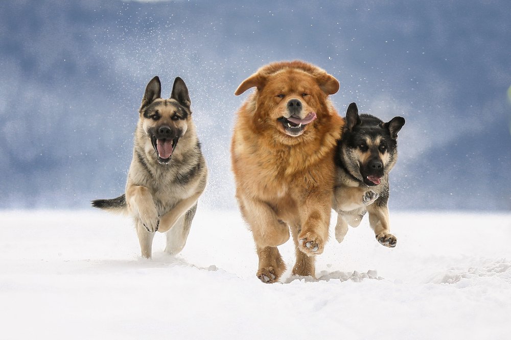 Photograph by Андрей Ершов