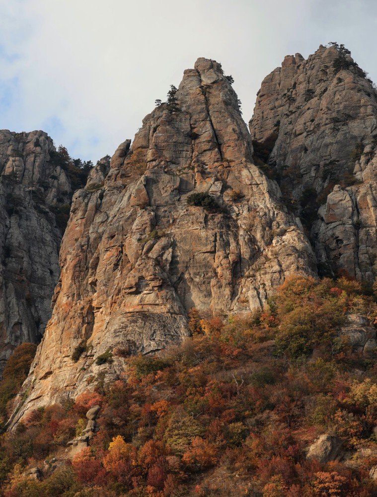 Photograph by Екатерина Лесная