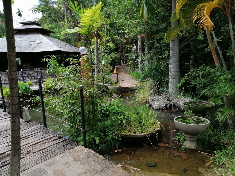 Greenery within life