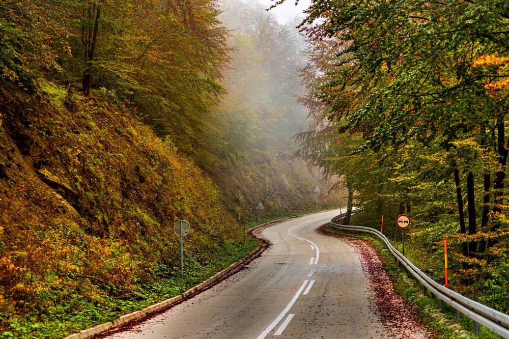 Photograph by Olivera Milanović