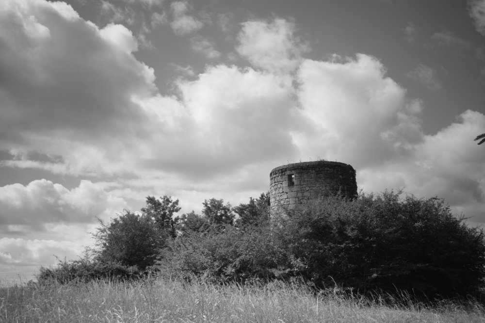 Photograph by Tendero