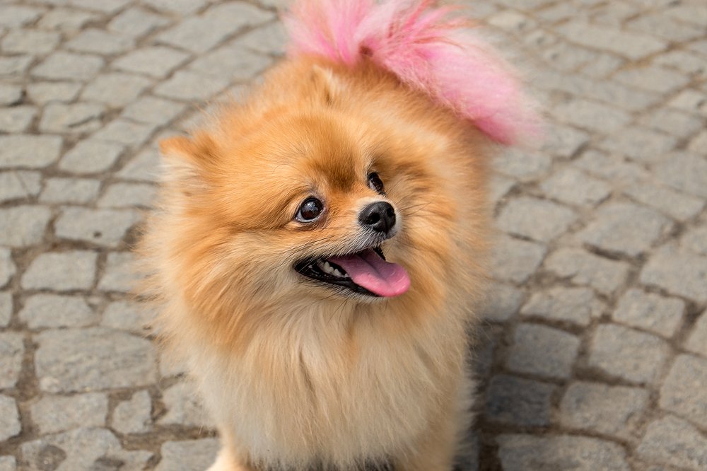 Photograph by Владимир Осипов