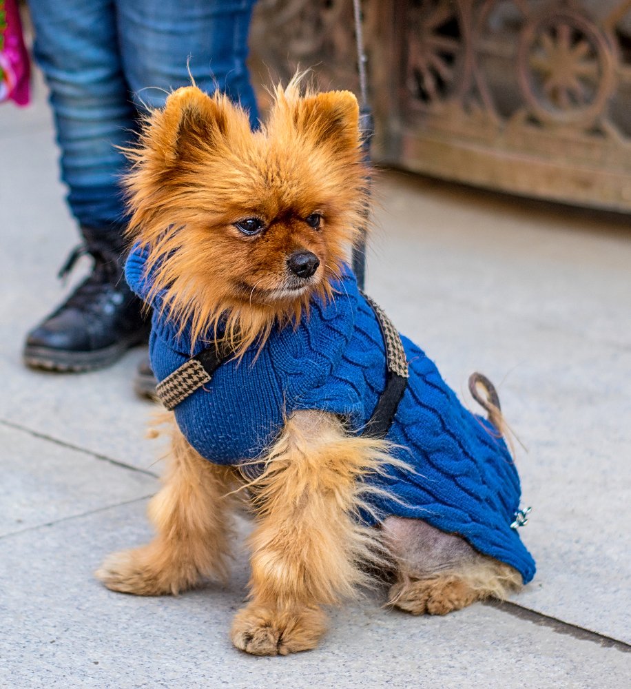 Photograph by Владимир Осипов