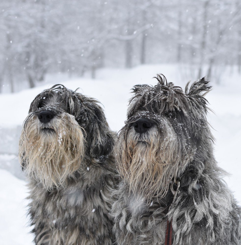 Photograph by Надежда Буаллаг