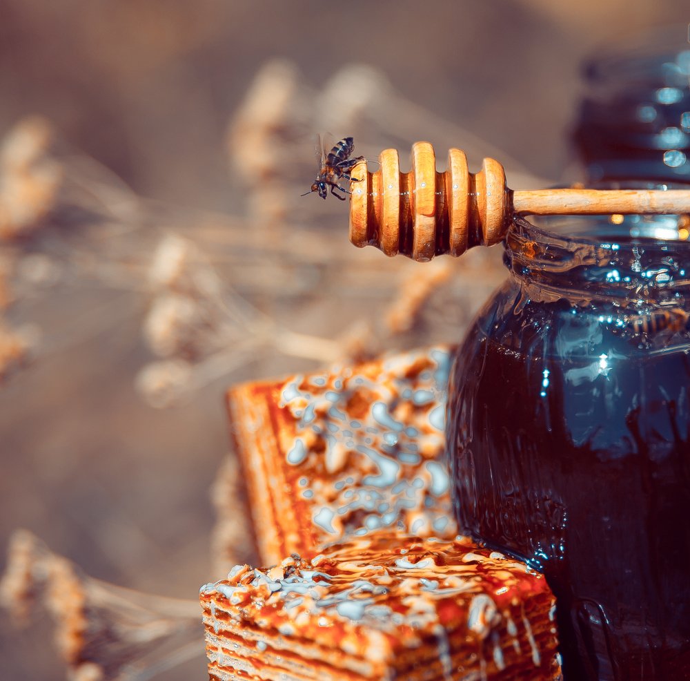 Photograph by Ольга Грушевская