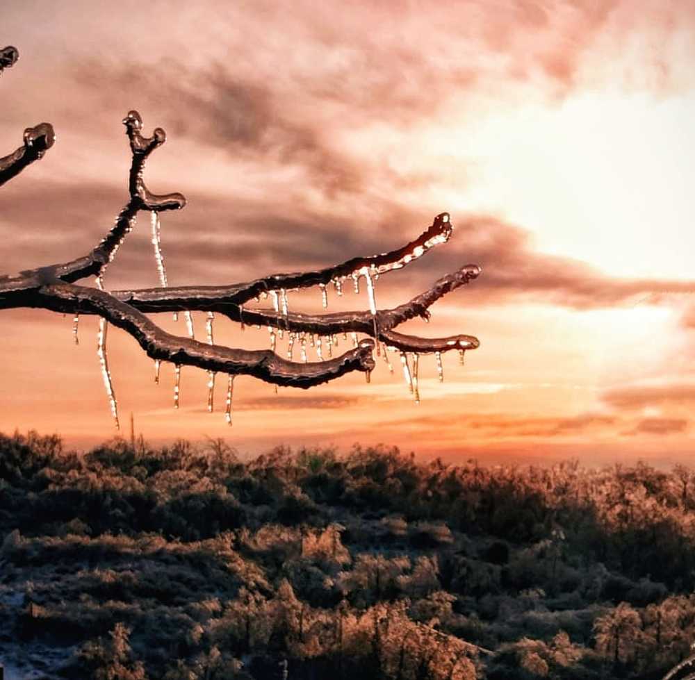 Photograph by Жанна Битюкова