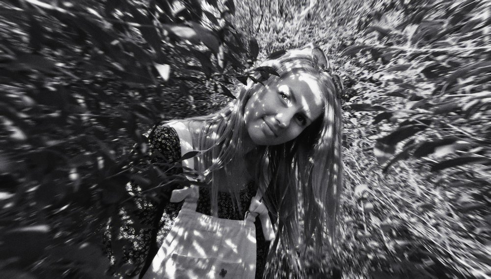 Photograph by Prometej