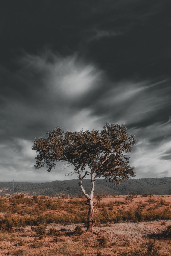 Photograph by Seyfal Sultanov