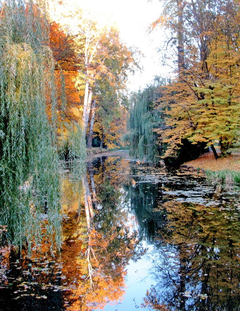 Photograph by Светлана Шмигельская