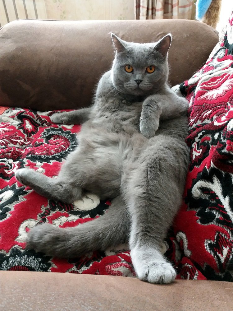 Хозяйка жизни