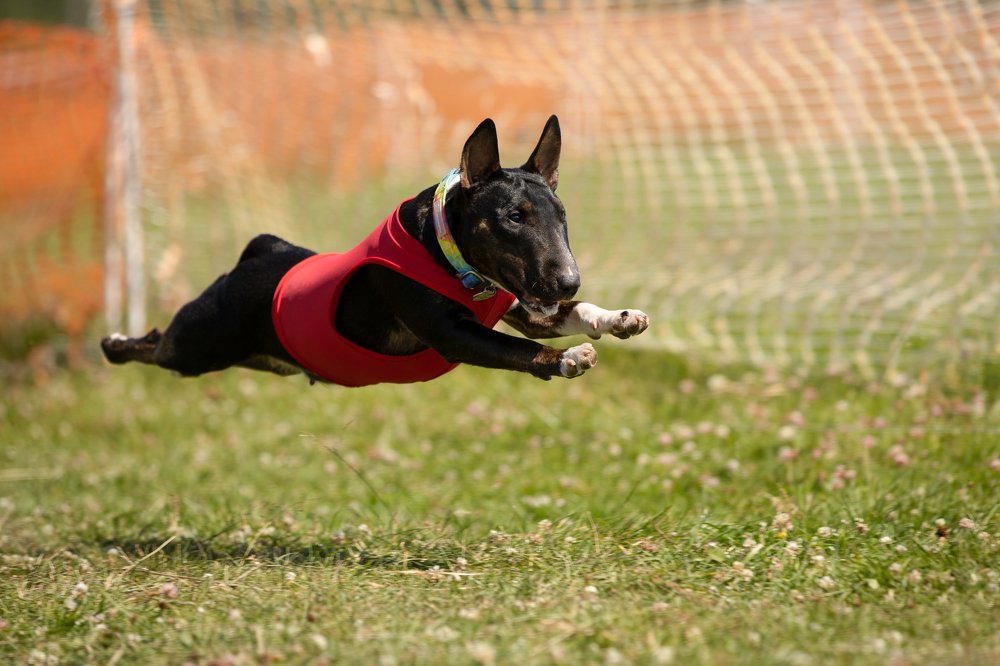 Photograph by Лана Полякова