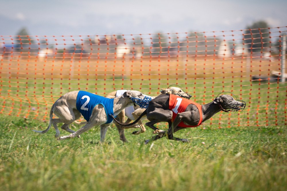 Photograph by Лана Полякова