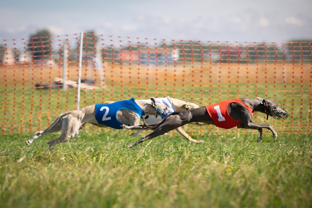 Photograph by Лана Полякова