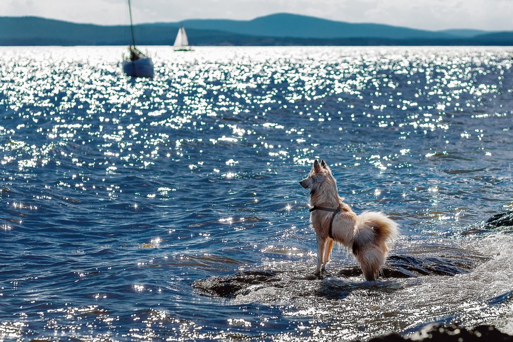 Photograph by Алексей Покровский