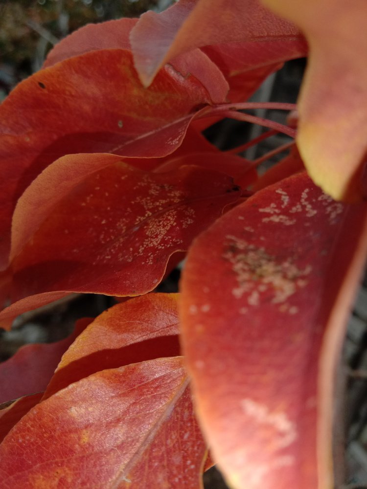Photo #5266939