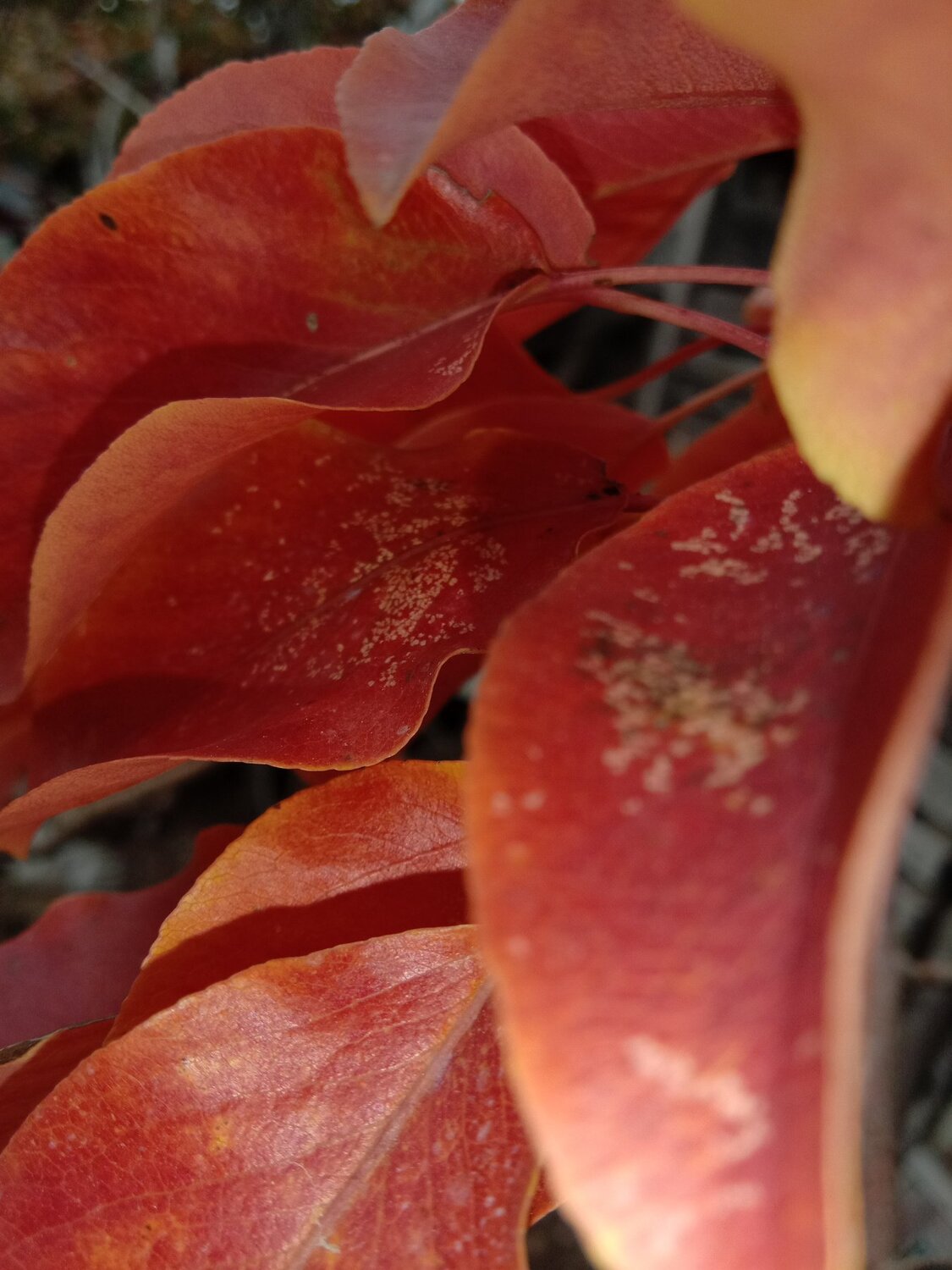 Photo #5266939