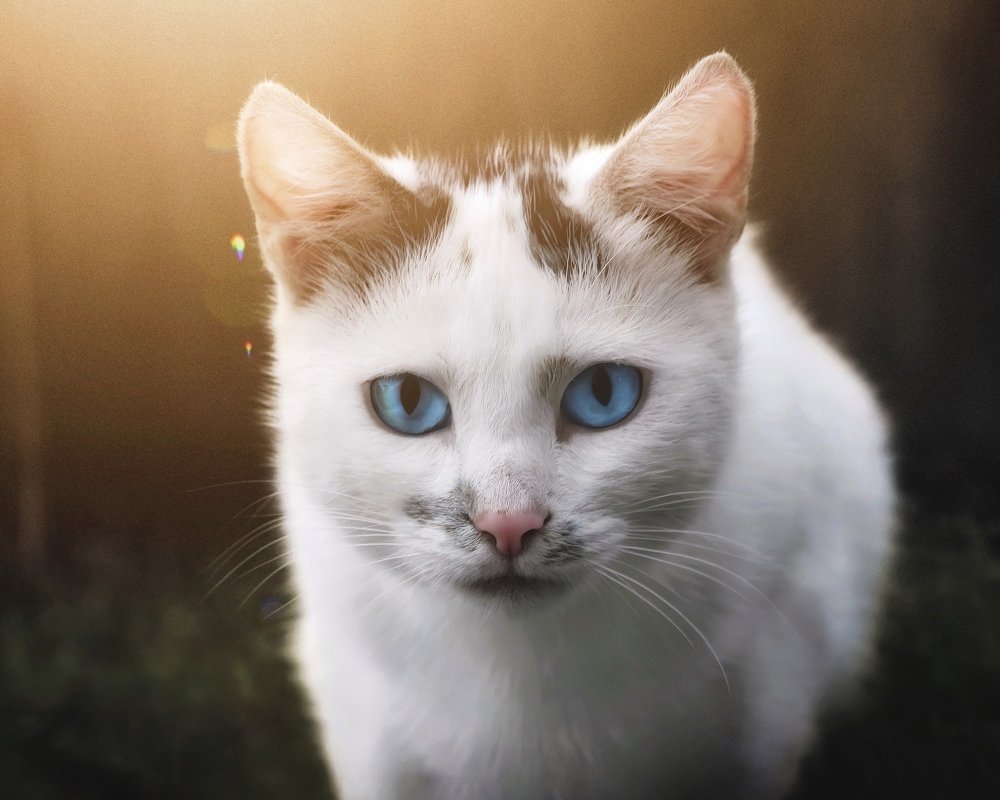 Photograph by Сергей Протасов