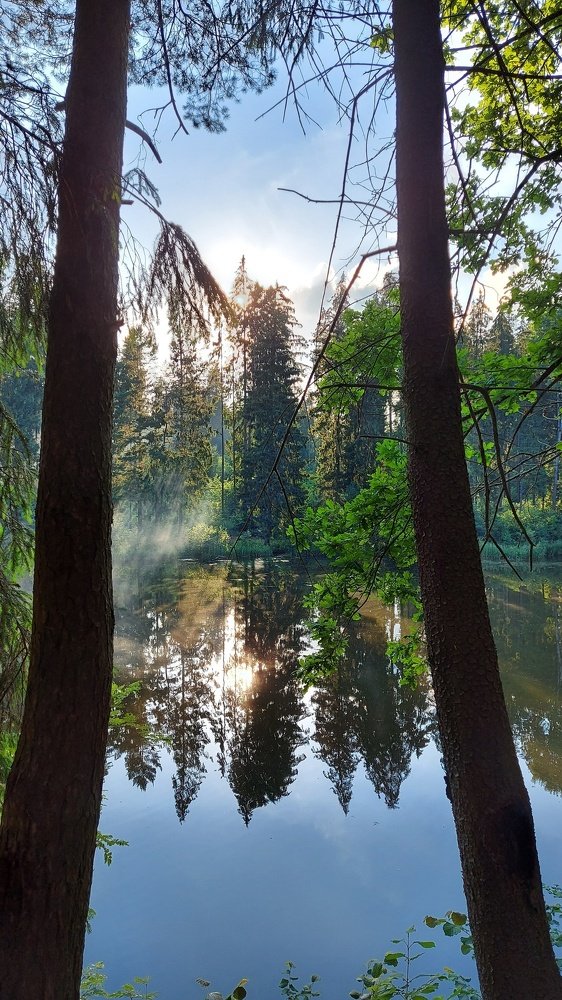 Photograph by ЭЛЬМИРА  ИСМАИЛОВА