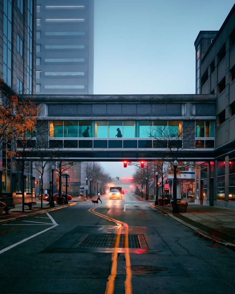 Photograph by Dan Adams