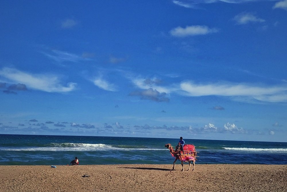 Фотография автора Ramprasad Das