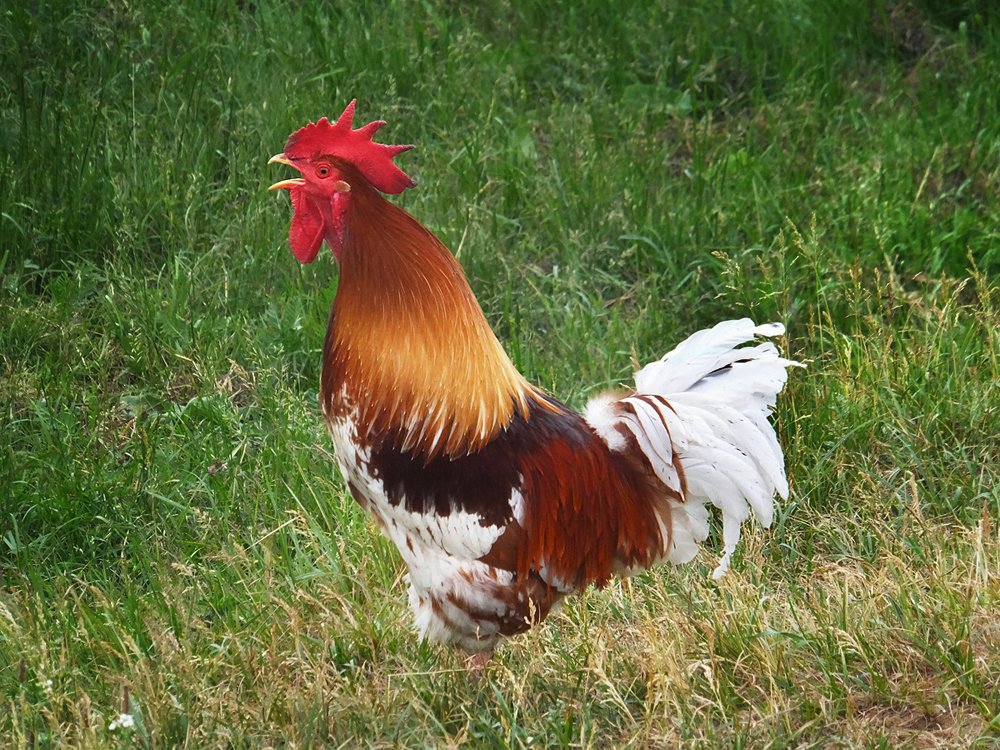 Фотография автора Vera Eremeeva