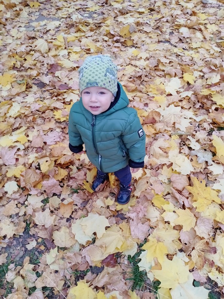 Photo #5267319