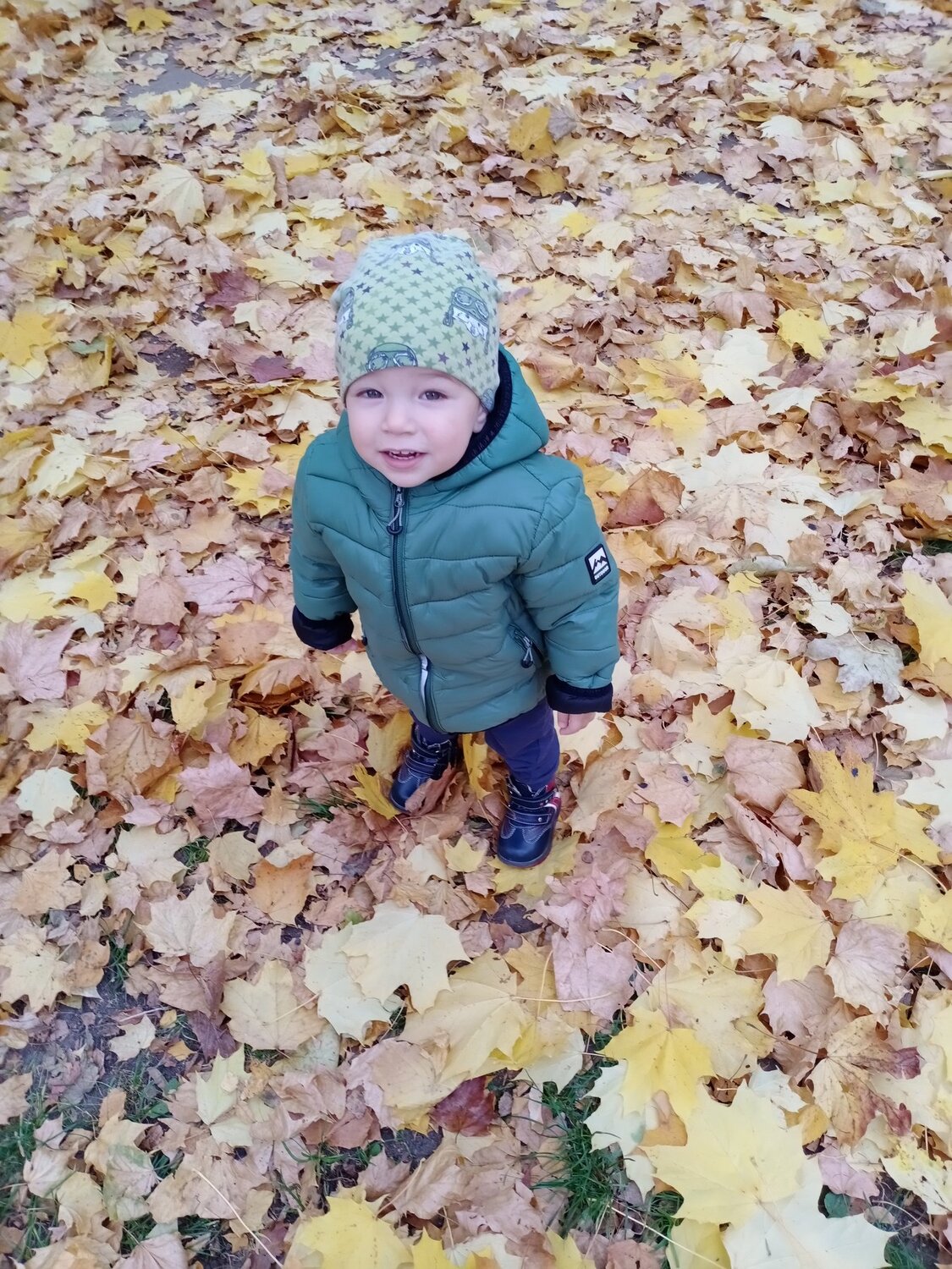 Photo #5267319