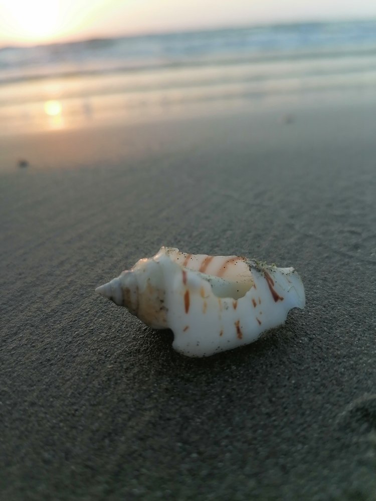 Photograph by shaker albarqi