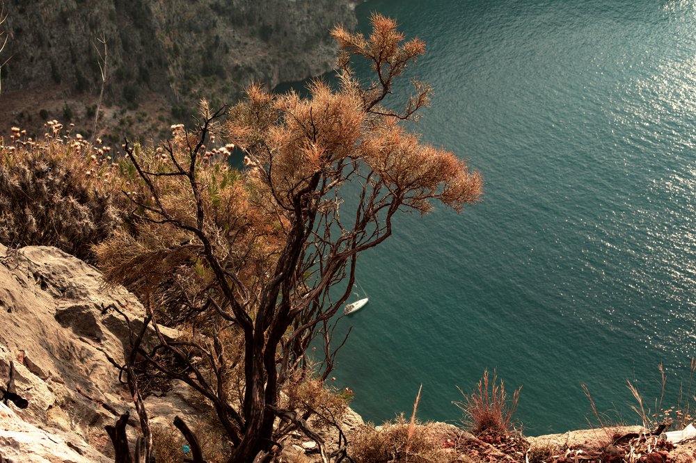 Photograph by Violetta Varseeva