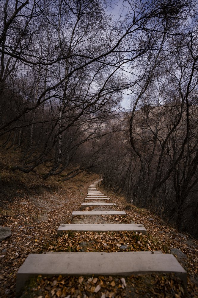 Фотография автора George Kurashvili