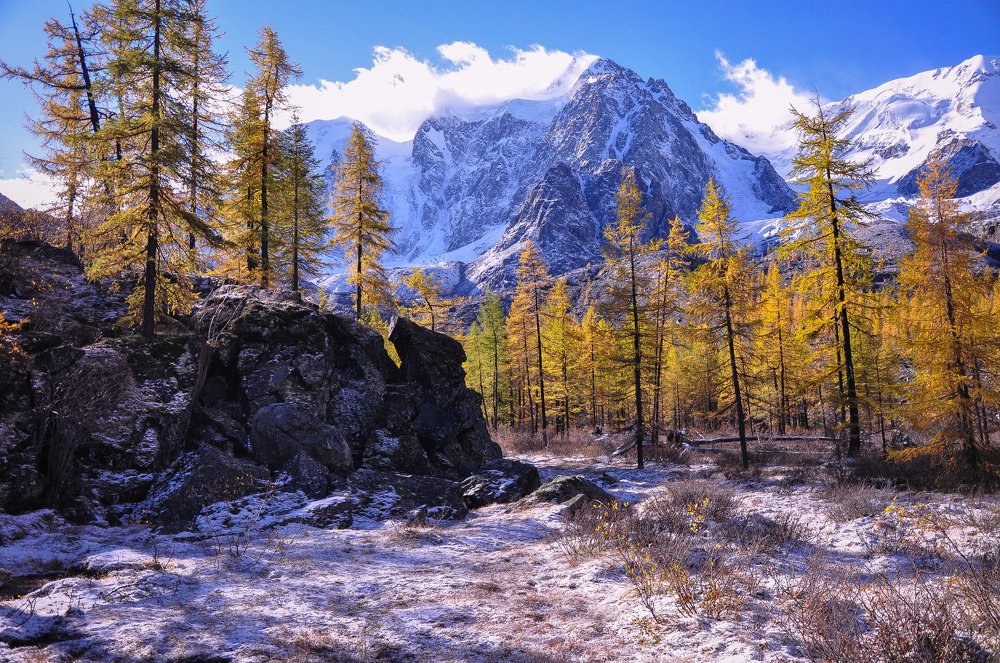 Первый снег и золотая осень на Алтае