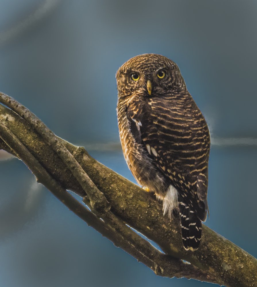 Photograph by Rahuldeb Bhattacharya