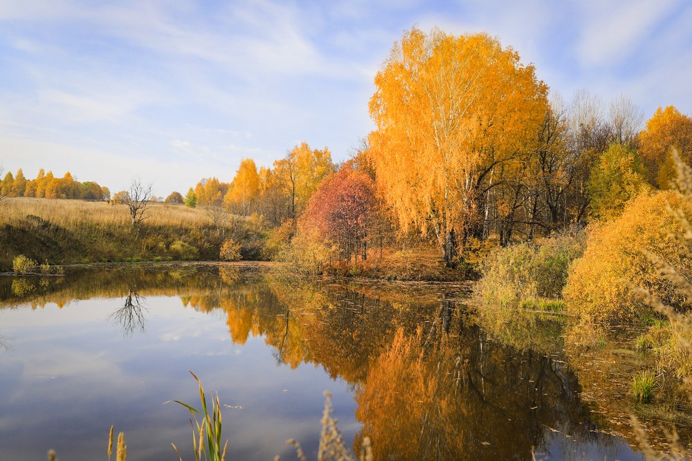 Photograph by Ирина Савченко