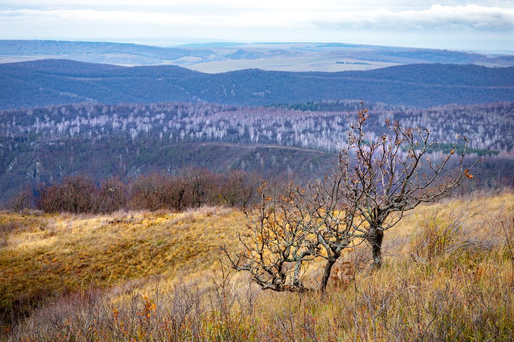 Photograph by Ирина Савченко
