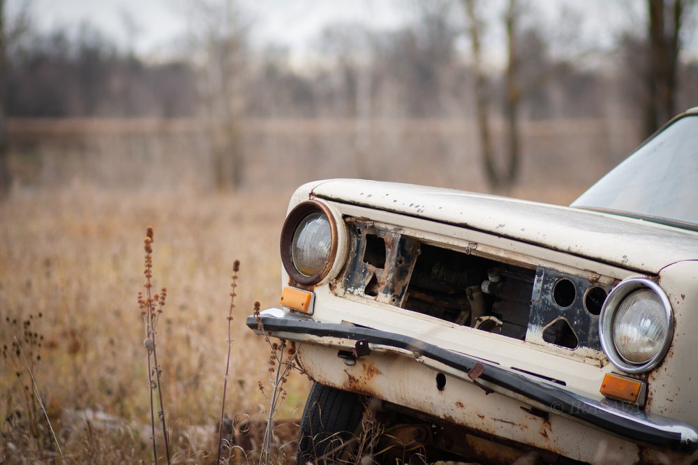 Photograph by Ирина Савченко