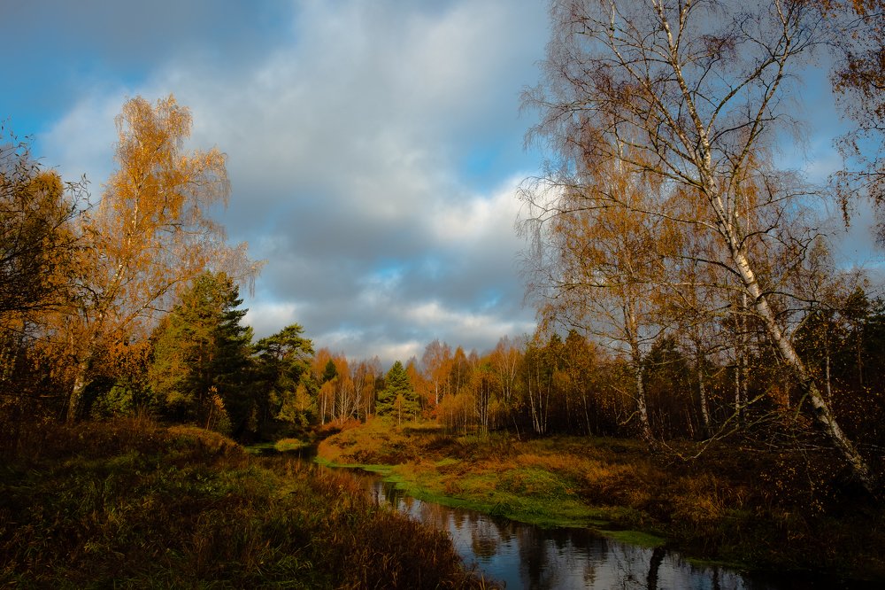 Photograph by Алексей Баженов