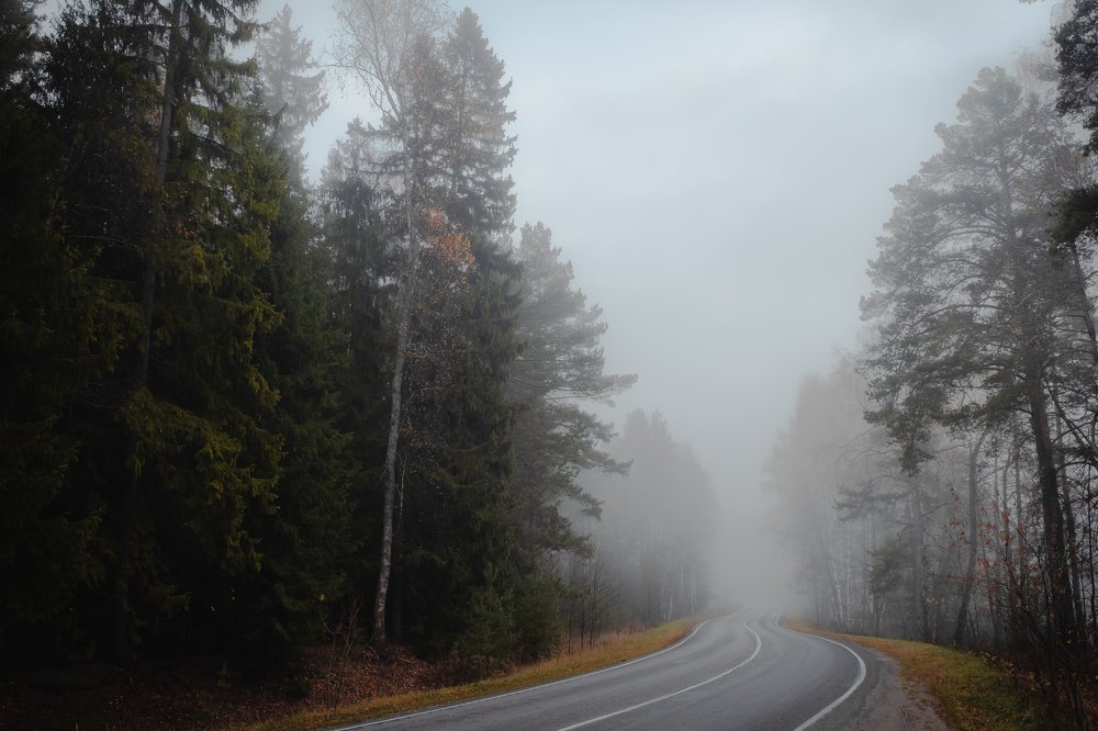 Photograph by Алексей Баженов