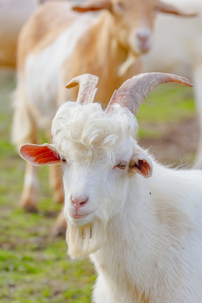 Photograph by Василий Бережной