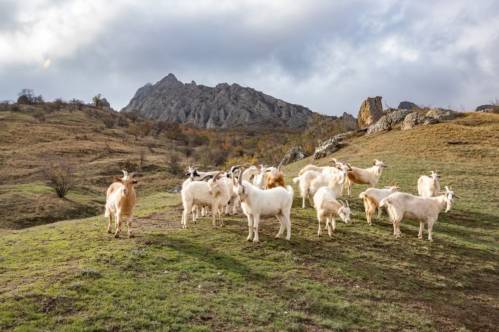 Photograph by Василий Бережной