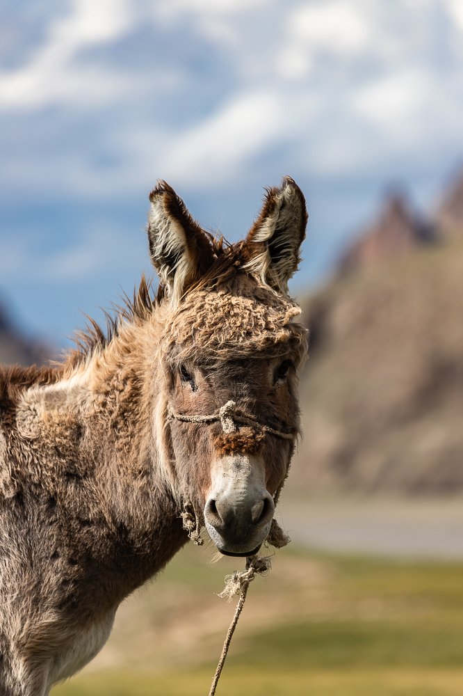 Photograph by Василий Бережной