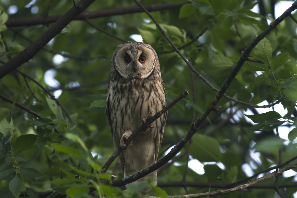Photograph by Сергей Адамов