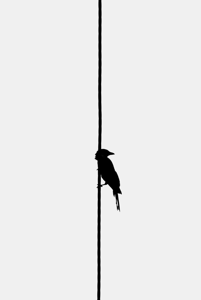 Photograph by Prithes Adhikary