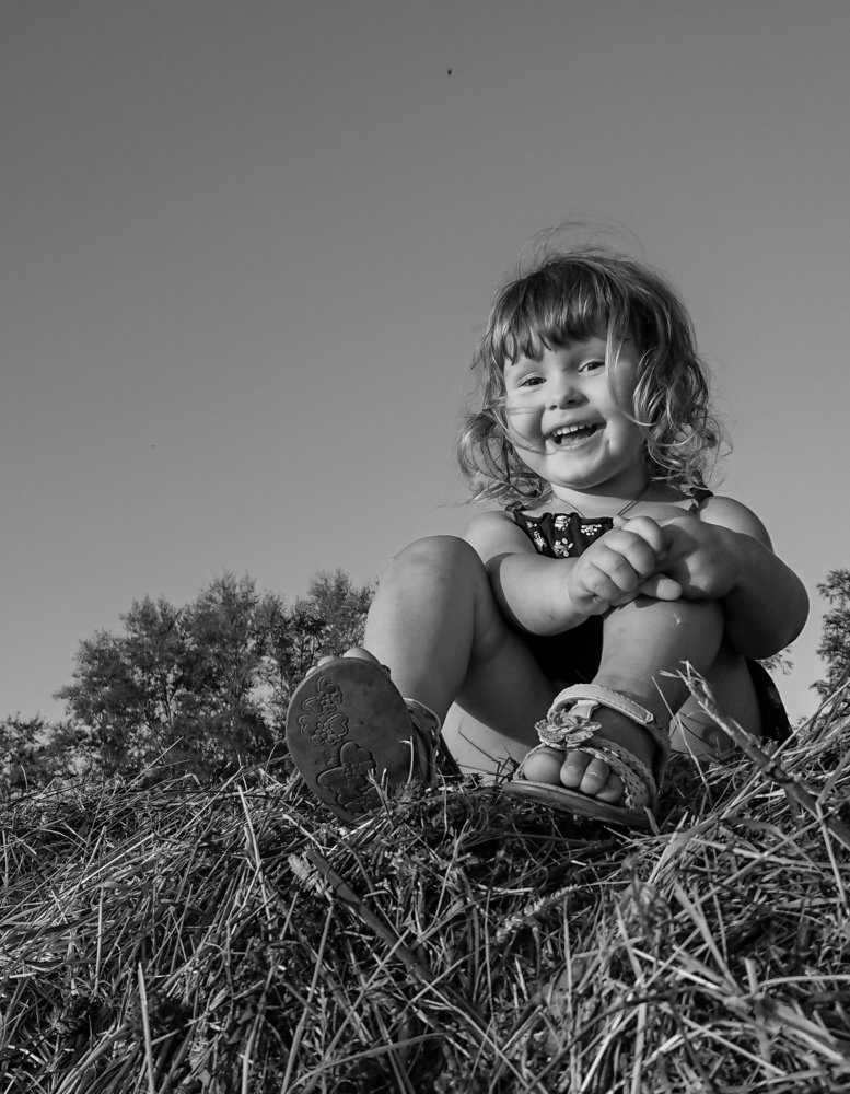 Photo #5267656