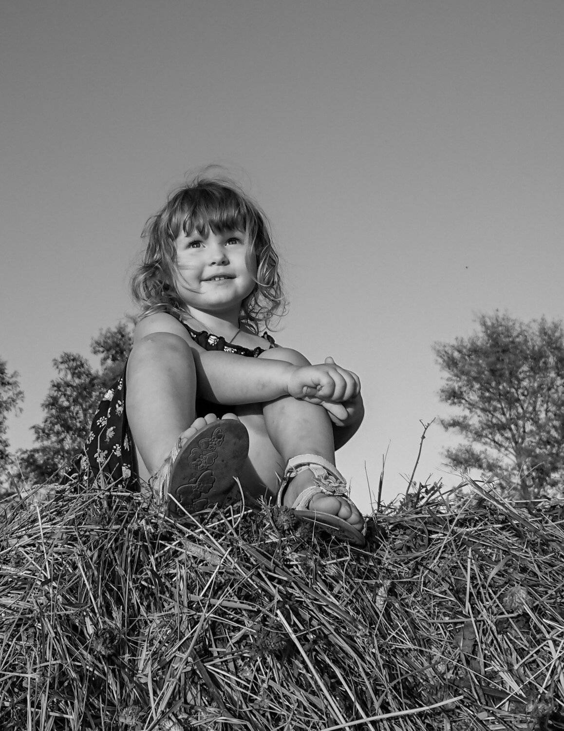 Photo #5267660