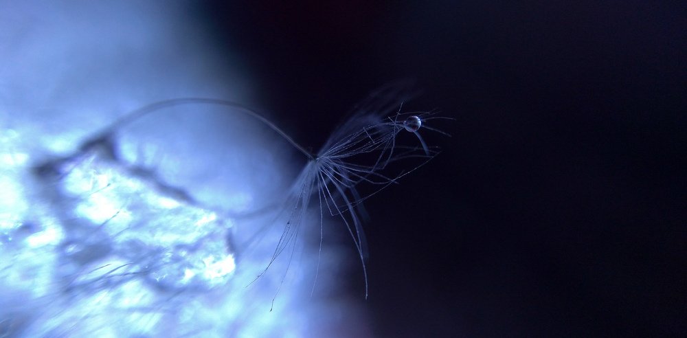 Элегантность макро мира