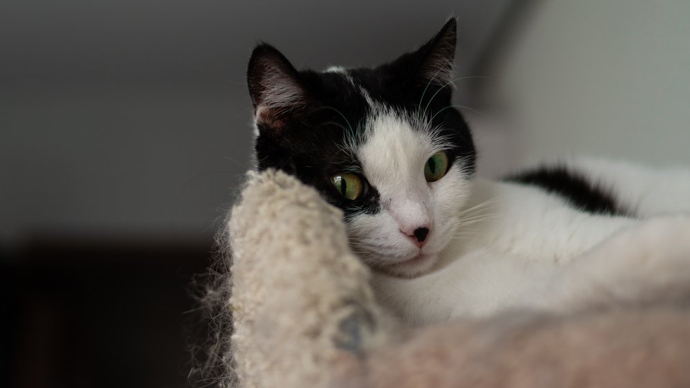 Photograph by Екатерина Семенова