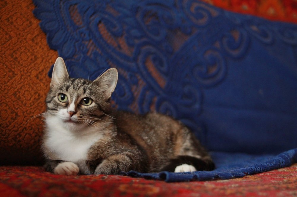 Photograph by Екатерина Семенова