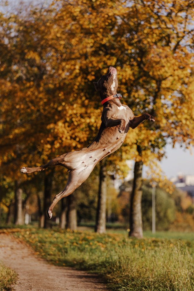 Photograph by Елена Левина